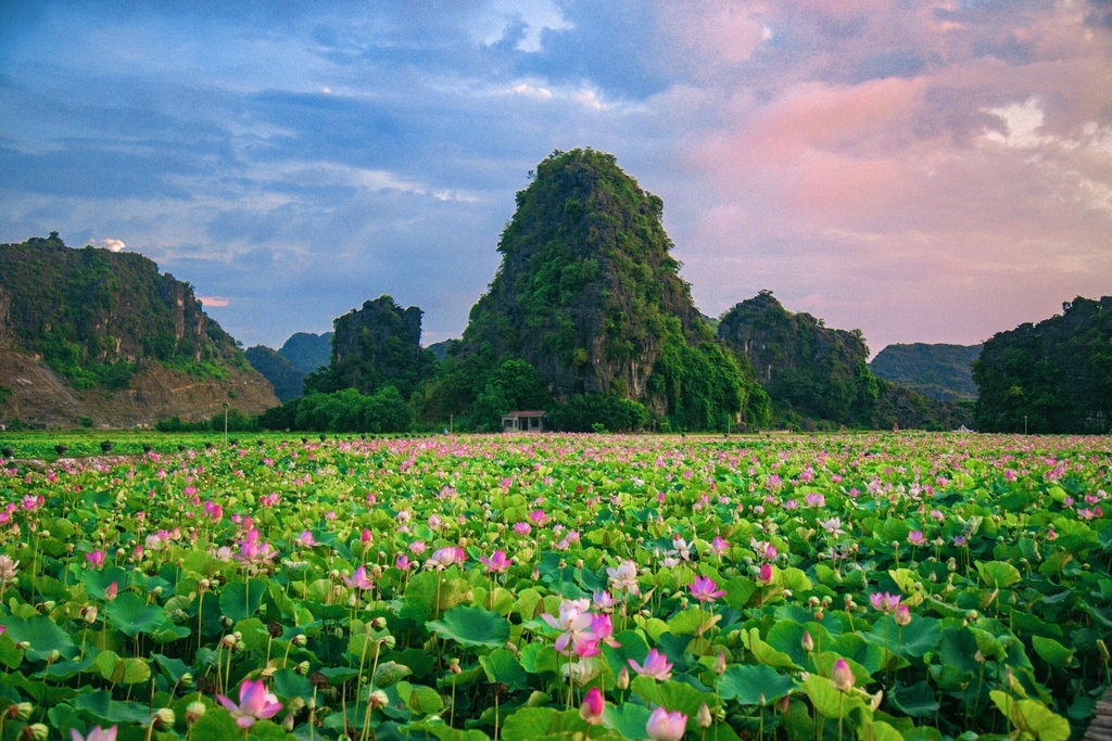 WHY YOU SHOULD CHOOSE NINH BINH WHEN TRAVELING TO VIETNAM